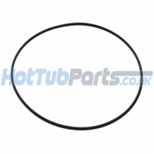 Face Plate O-Ring, Executive Waterway Pumps