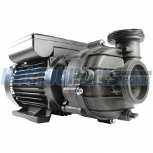 2hp 2 Speed Durajet Sta-Rite Pump (2x2)