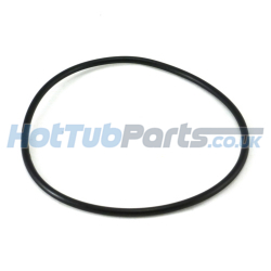 Waterway Filter Lid O'Ring