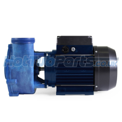 2.5hp 1 Speed Aqua-flo XP2 Pump (2"x 2")