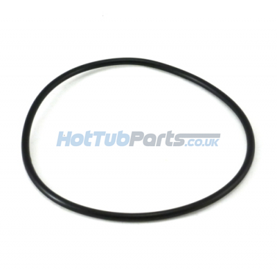 Waterway Filter Lid O'Ring