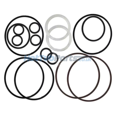 Marquis Spas O'Rings & Gaskets Kit