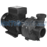 2hp 2 Speed Niagara Balboa Spa Pump (2x2)