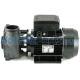 2.5HP 2 Speed Waterway Hot Tub Pump 56F (2"x 2")