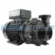 2hp 1 Speed Durajet Sta-Rite Pump (2x2)