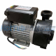 Blue Whale LX WTC200 Pump 2HP (Storm Force 9)