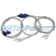 Marquis Spas Spyder 4 Led 2012-2013